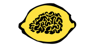 Logo BrainSolutions